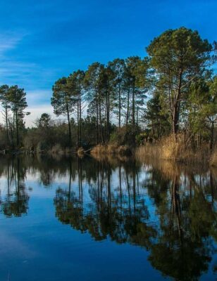 Campings Bassin d'Arcachon