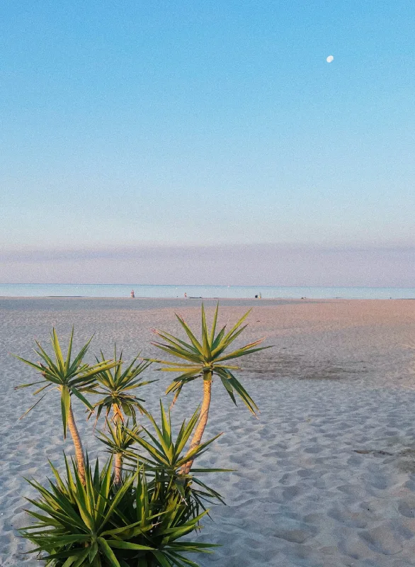 cap agde vacances hérault