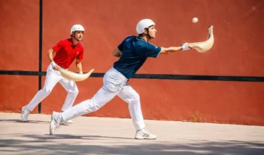 que faire au pays basque